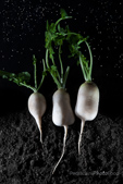Daikon