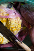 flor de platano