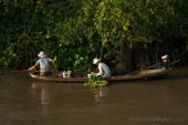 Mekong Delta