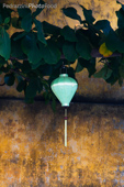 asian lantern