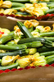 Zucchiniblueten