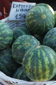 sandia