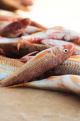 pescado