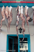 Tintenfisch in Taverne
