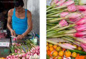 Ingwerblumen Penang
