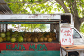 selling coconut